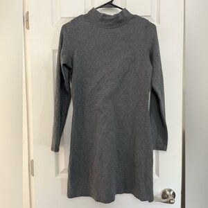 Everlane Mockneck Longsleeve Dress